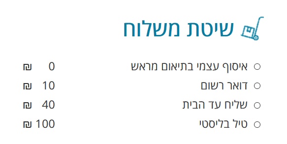 תשלום בחנות וירטואלית